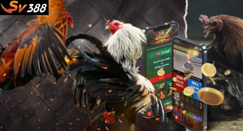 SV388 là trang nhà cái đá gà trực tiếp uy tín nhất tại Châu Á