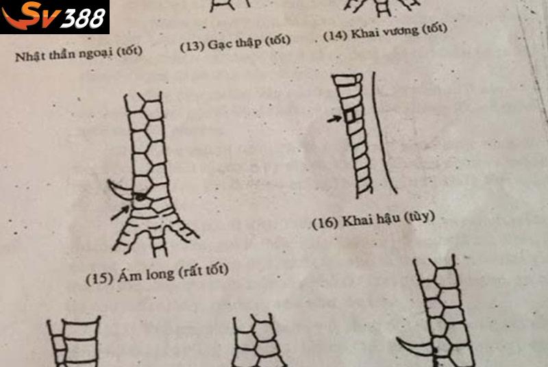 Cách vận dụng kinh kê gà chọi trong thực tế một cách hiệu quả