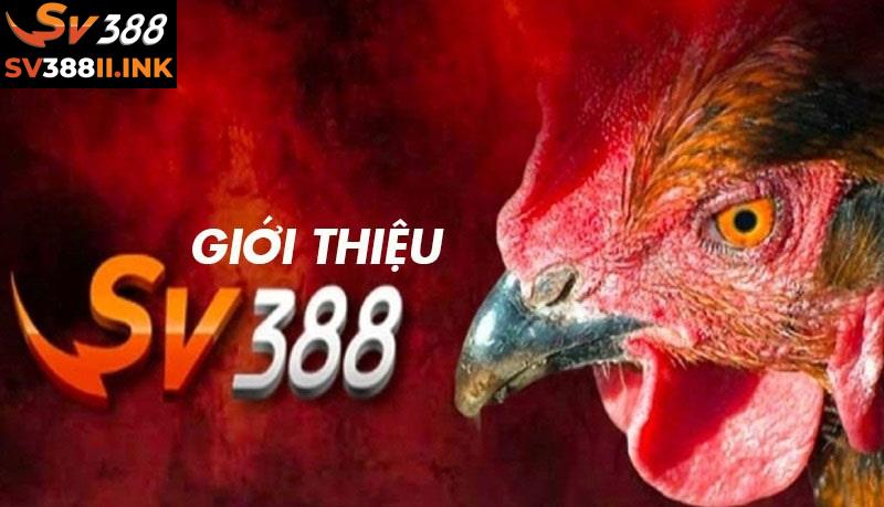 Giới thiệu SV388 là nền tảng đá gà trực tuyến hàng đầu hiện nay