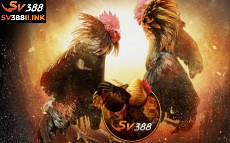 Thông tin người chơi đá gà trực tiếp luôn được SV388 bảo vệ tuyệt đối