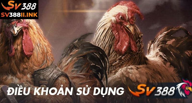 Điều khoản sử dụng là nội dung thành viên cần hiểu trước khi giải trí tại SV388