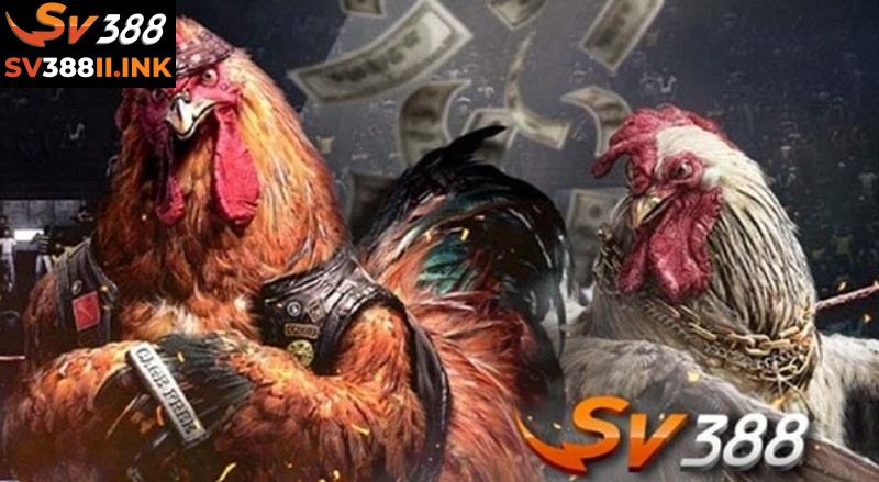 Cả nhà cái và thành viên đều cần đảm bảo trách nhiệm của mình