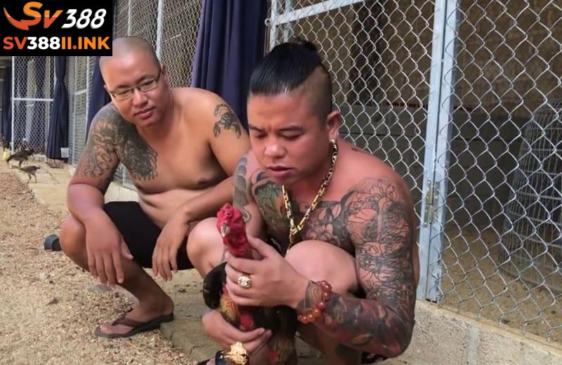 Dương Minh Tuyền đã phát triển SV388 cùng các cộng sự tài năng