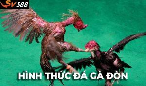 Tìm hiểu về Đá Gà Đòn và những cú tung cước chí mạng